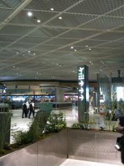 バンコク向けハンドキャリー