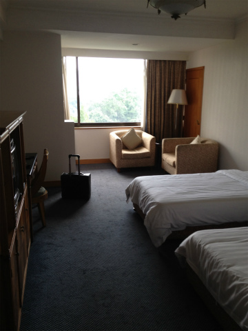 2012-6guangzhou (12)