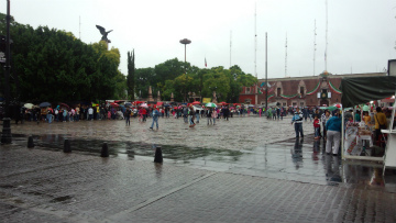 成田空港～メキシコ向けハンドキャリー