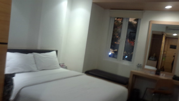 東京～ジャカルタ向けハンドキャリー2