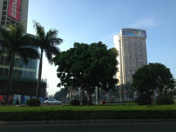 関西空港～中国・珠海向けハンドキャリー2