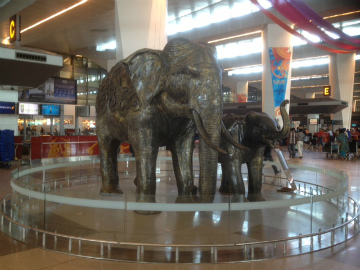 羽田空港～インド・インディラ・ガンディー国際空港向けハンドキャリー3