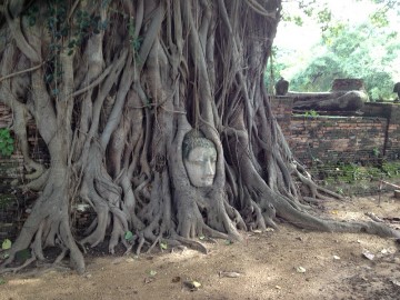 バンコク（1） (6)