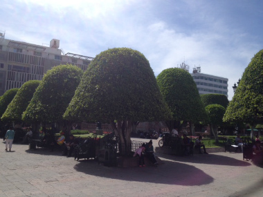 メキシコ　レオン2014-4 (5)