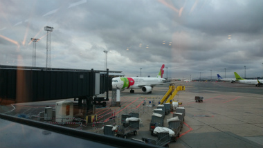 ファロ2014-4(1) (2)