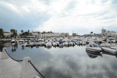 ファロ2014-4(1) (5)