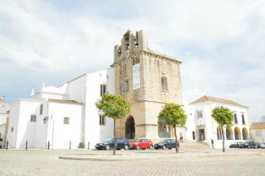 ファロ2014-4(1) (6)