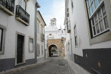 ファロ2014-4(1) (8)