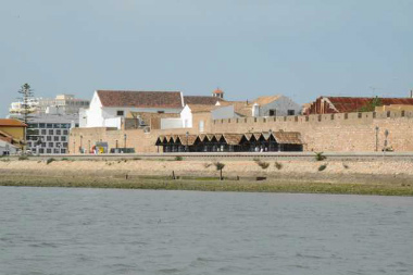 ファロ2014-4(1) (10)