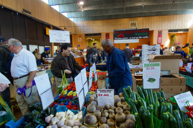 トロント2014-4 (2)