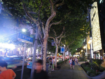 上海2014-8（1） (10)