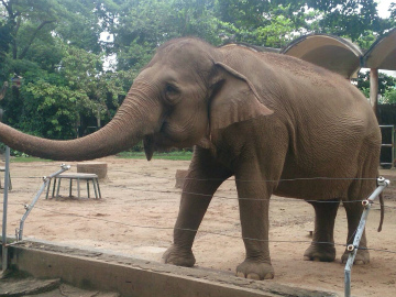 ホーチミン2014-9（1） (4)