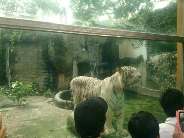 ホーチミン2014-9（1） (5)