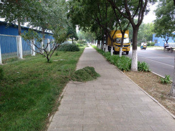 北京2014-12(1) (6)