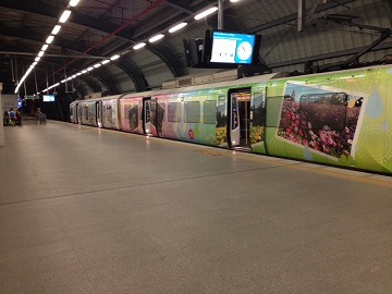 2015-01Guanzhou-Bankok (14)