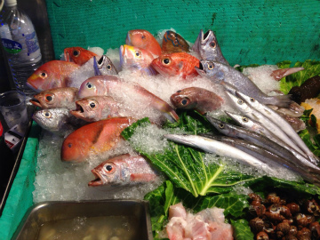 台北2015-07（1） (12)