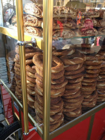 2015-12 istanbul (24)