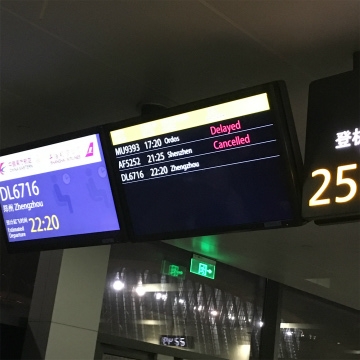 2016-6 シンセン (10)