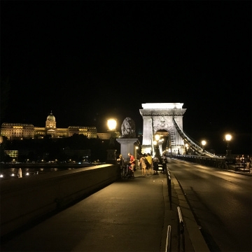2016-7Budapest (21)