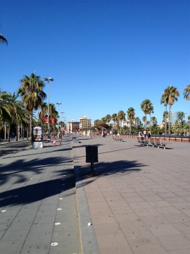 2016-8バルセロナ (42)