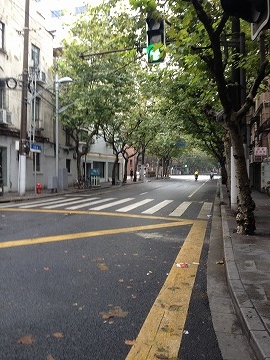 2016-10shanggai10 (11)