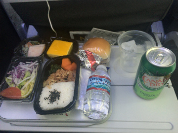 2016-12 アグアスカリエンテス (8)