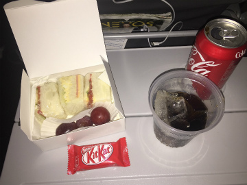 2016-12 アグアスカリエンテス (9)