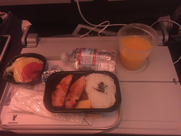 2016-12 アグアスカリエンテス (10)