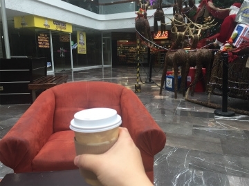 2016-12 アグアスカリエンテス (21)