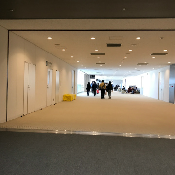 2017-3セブ、シカゴ (3)