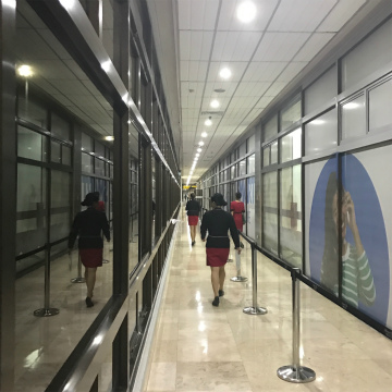 2017-3セブ、シカゴ (5)