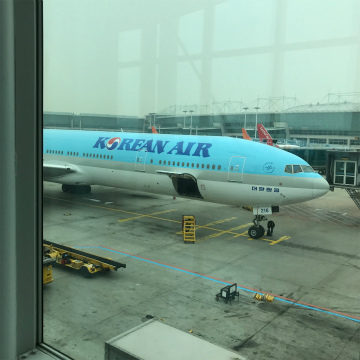 2017-3セブ、シカゴ (12)