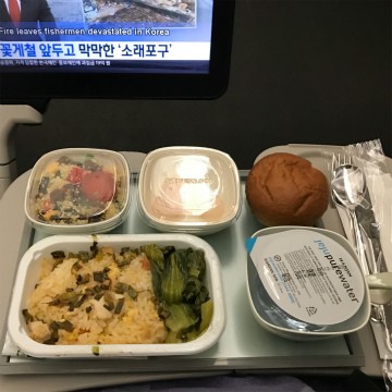 2017-3セブ、シカゴ (14)