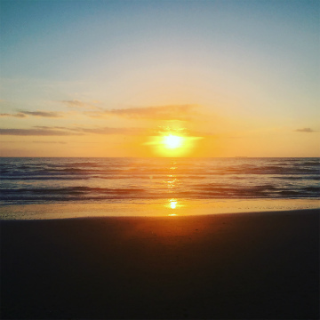 成田空港～テキサス州マッカレン空港向けハンドキャリー2