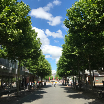 2017-7Frankfult (38)