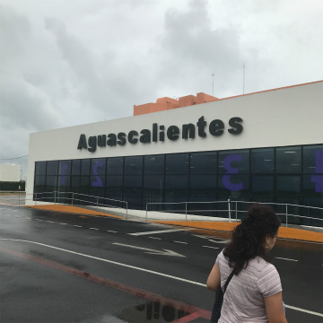 2017-8Aguascalientes (11)