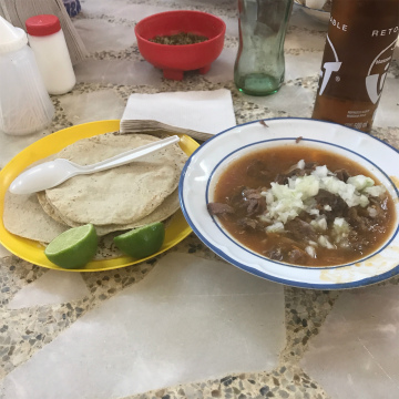 2017-8Aguascalientes (18)