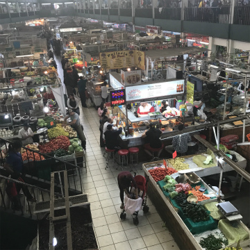 2017-8Aguascalientes (20)