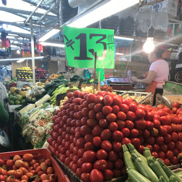 2017-8Aguascalientes (21)