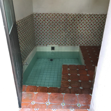 2017-8Aguascalientes (28)