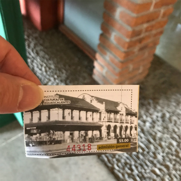 2017-8Aguascalientes (32)