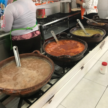 2017-8Aguascalientes (42)