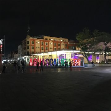 2017-8Aguascalientes (47)