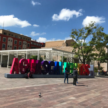 2017-8Aguascalientes (56)