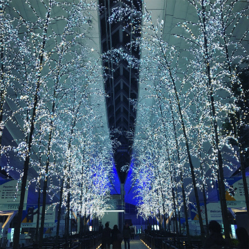 羽田空港～バンコク・スワンナプーム空港向けハンドキャリー1