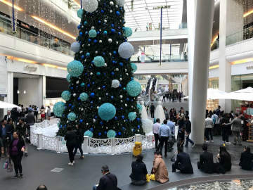 2017-12mexicocity (8)