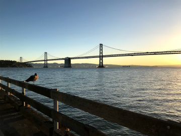 2017-12mexicocity (34)