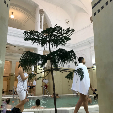 2017-12budapest (29)