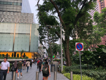 2018-9singapore (11)