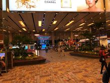 2018-9singapore (17)